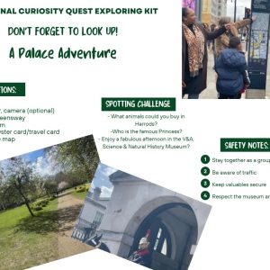 A Palace Adventure